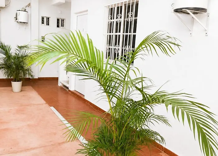 Jardines Del Mar By La Cultura - Boutique